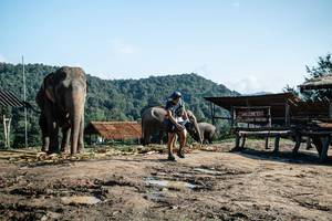 BIB: 
                            <button type="button" onclick="openModal(22422921)" class="btn btn-primary btn-sm float-right btn-popup" data-toggle="modal" data-target=".modal-high-quality">
                        <i class="fas fa-shopping-cart"></i> Add to Cart
                    </button>
                                            <button type="button" onclick="isThisMe(22422921, true)" class="btn btn-success btn-sm float-right btn-popup btn-isme hidden" data-toggle="tooltip" data-placement="bottom" title="นี่คือรูปของคุณใช่ไหม คลิกที่นี่เพื่อเอาเข้าอัลบั้ม">
                        <i class="fas fa-plus"></i> Add to album
                    </button>
                    <button type="button" onclick="isThisMe(22422921, false)" class="btn btn-warning btn-sm float-right btn-popup btn-isnotme hidden">
                        <i class="fas fa-ban"></i> Remove from album
                    </button>